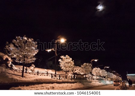 Night view of avenue with snow-covered trees and decorated with lights, Auronzo di Cadore, Belluno, Italy