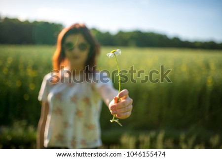 A young European girl in sunglasses in the summer in the field holds a chamomile in her hand