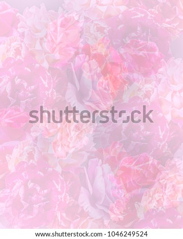 Multiple roses combined into a soft pastel background