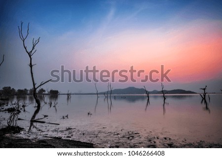 Reservoir and dead tree silhouette with sunset sky.