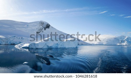 Icebergs floating in Antarctica.