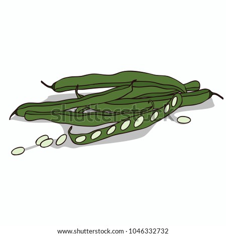 Isolate pod of pea or beans on white background. Close up clipart with shadow in flat realistic cartoon style. Hand drawn icon. Raster version of illustration