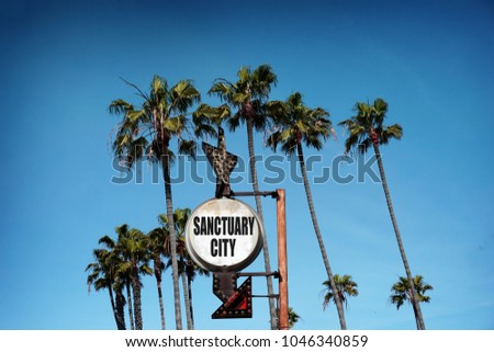 sanctuary city sign with palm trees                            