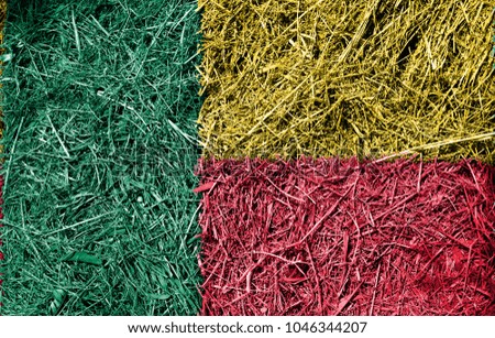 Benin flag on dry grass texture