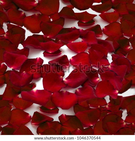Decorative composition of rose petals. Seamless background. Use printed materials, signs, items, websites, maps, posters, postcards, packaging.