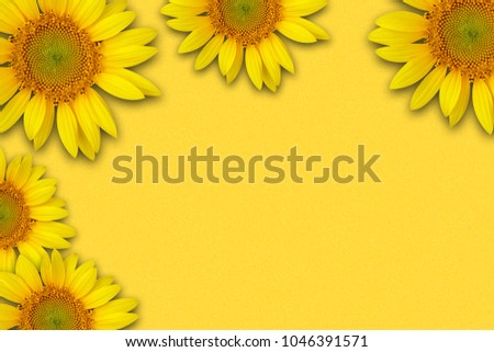 sun flowers on yellow floor