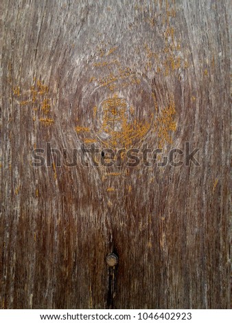 Amazing texture of antique wooden wall background