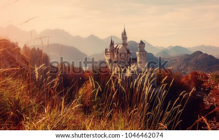 Summer Germany. Morning in the Bavarian Mountains. Castle Neuschwanstein in the light of the rising sun. Awesome alpine highlands in sunny day.  Popular Photography Locations. Beautiful of the world. 