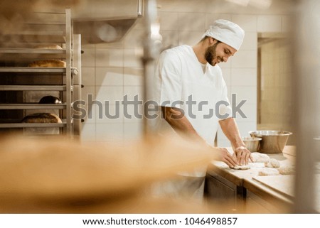 baker on baking manufacture