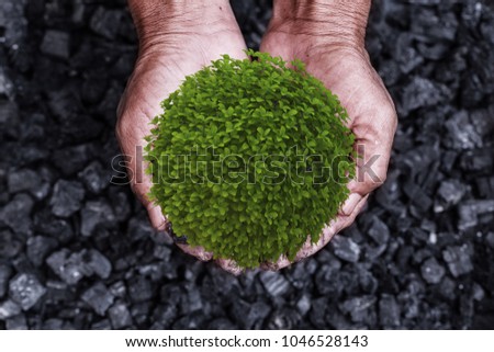 Environment conservation concept : tree, plant in the man hands of coal background. Picture idea about coal mining or energy source, environment protection. Conservation of natural resources.