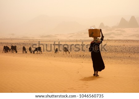 Sandstorm in Sudan Royalty-Free Stock Photo #1046560735