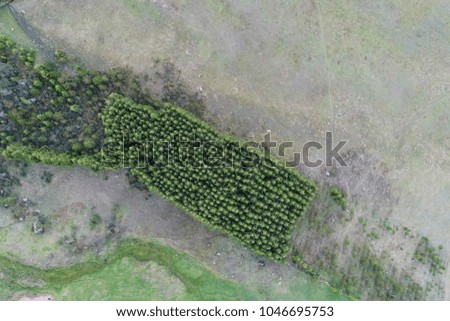 Aerial photography of crop fields and rural areas seen with drone.