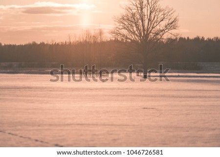 colorful winter sunset with light rays coming through the large tree branches on the frozen meadow in country - vintage look edit