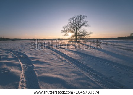 colorful winter sunset with light rays coming through the large tree branches on the frozen meadow in country - vintage look edit