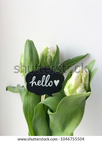 hello chalkboard with heart and tulips on white backgrund. hello spring