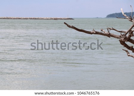 Beautiful ocean sea and the beach in summer nature, copyspace and background for use
