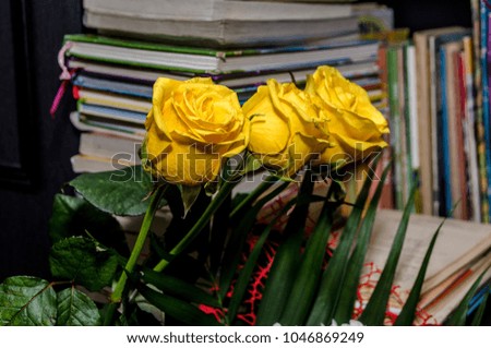 Three yellow roses against a stack of books.