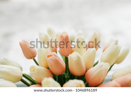 flower arrangement: young fresh colorful tulips in a vintage iron vase, which stands on the windowsill. vesennee the mood of the bouquet of plants. Wallpaper for desktop