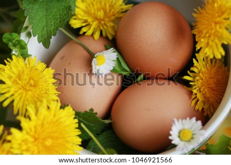 Happy easter, spring picture of fresh farm brown chicken eggs in a bowl with sunlight, green nettle and yellow and white blossoms of dandelion and daisy 