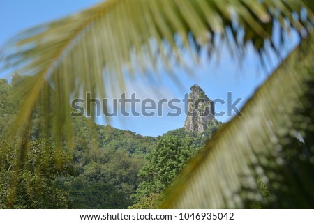 Landscape of Te Rua Manga (The Needle) in Rarotonga, Cook Islands. No people. copy space