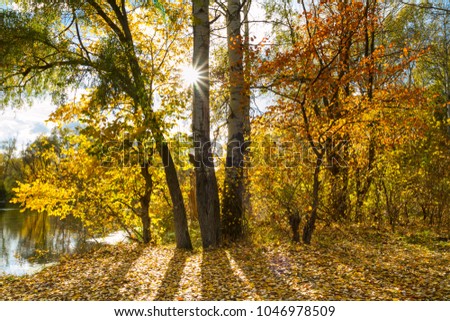 Beautiful autumn landscape - View from the river bank of the Siverskyi Donets, north-east of Ukraine