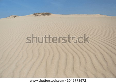 Sand dunes in the desert under a blue sky 