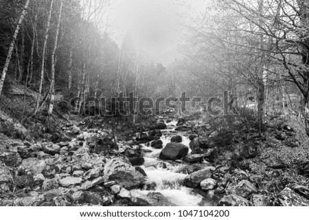 Morning mist over the stream in the Italian Alps in Piedmont. View of the forest valley with river at sunrise. Black and white picture