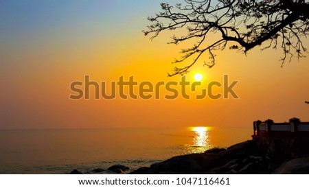 Sunrise at sea and tree branches beautiful Golden sky moment