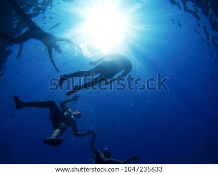 Under view of the sea and four cheerful friends swimming and enjoying free time for summer holidays.