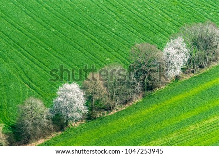 aerial view of trees in flower near Flers in the department of Orne in France