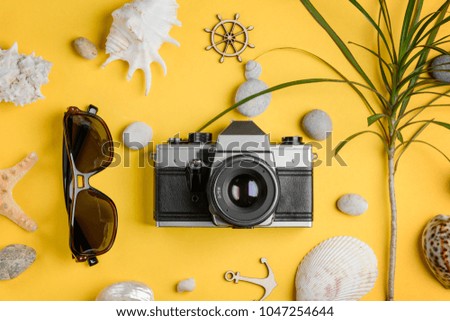 Traveler's sunglasses and vintage camera. Creative flat lay shot with sea shells, stones and palm tree on yellow.