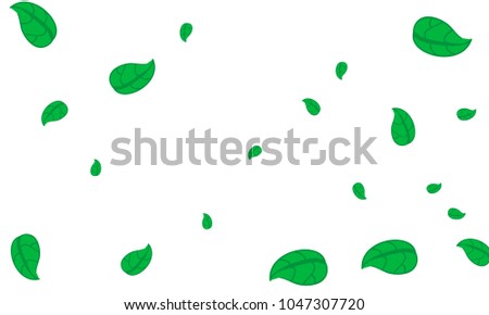 Many Cute Green Leaves of Different Size on White Background