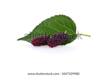 Mulberry with leaf Isolated on white background