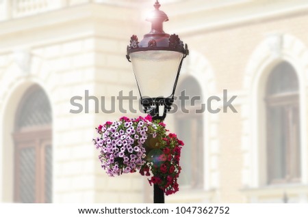 the street light in Sremski Karlovci (Serbia) decorated with flowers Royalty-Free Stock Photo #1047362752