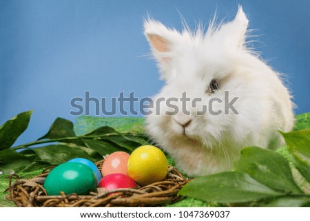 easter bunny sitting on grass near nest with colorful eggs blue background