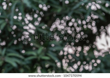 abstract gorgeous bright colorful of green,white,bokeh background