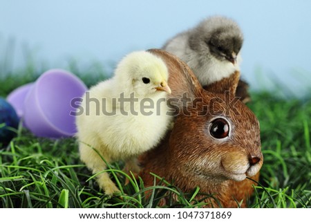 Little white and yellow Easter chick standing by and adorable resin brown bunny rabbit with a grey chick sleeping on the bunnys back. Extreme shallow depth of field.