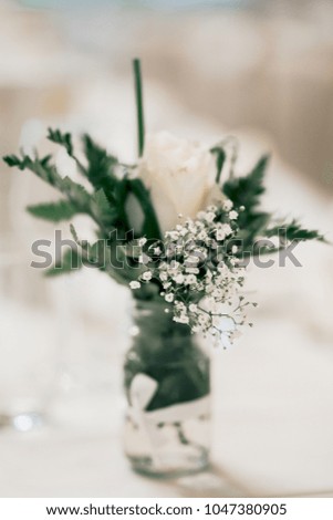 white rose in a transparent glass

