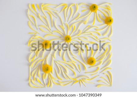 Squared mandala made out of yellow petals and wild flowers on a white background