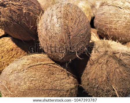 lots of coconuts around
