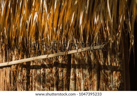 The outside of an indigenous Longhouse. Roof made of dry palm leafs. Structure made of planks and a colorful tree bark. Natural texture. Amazon / Brazil