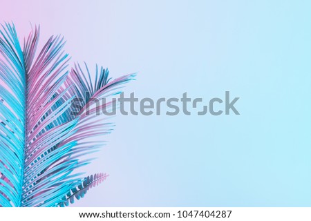 Tropical and palm leaves in vibrant bold gradient holographic colors. Concept art. Minimal surrealism. Royalty-Free Stock Photo #1047404287
