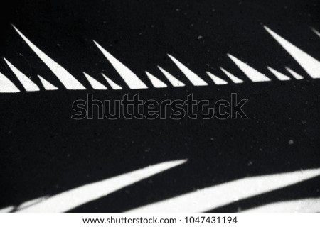 Shining sun, sand and leaves of plants to create this abstract play of light and dark shadows and lights.