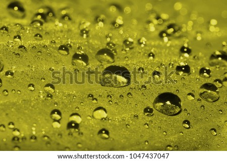 Morning dew on a close-up sheet. Macro. Toning in pantone color golden lime.