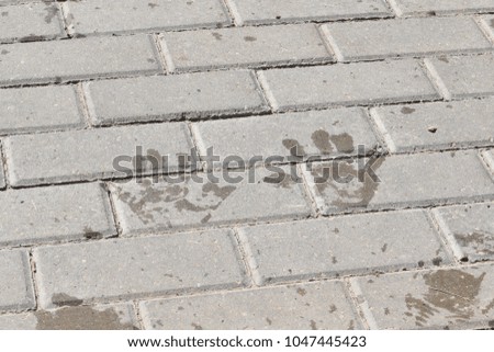 imprint of wet children's hands on the sidewalk tile