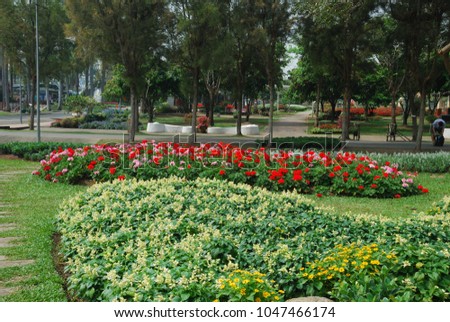 Beautiful floral decorations. It is a place for people to see the bright nature. Comfortable and comfortable living.