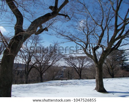 Snowy landscape under the blue sky