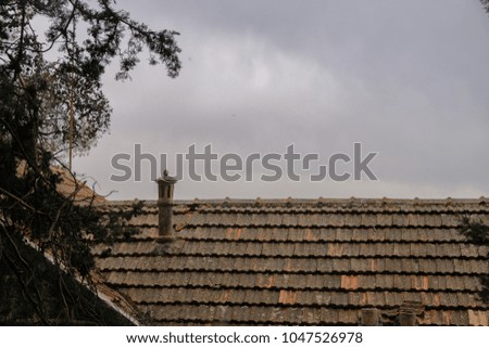 A roof and a chimney 