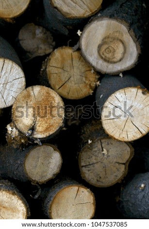 wooden firewood spill