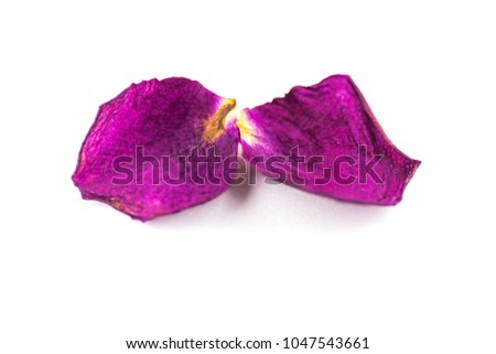Two rose petals lie together isolated on white background, top view, macro, selective focus